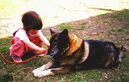 Тюрид Ругос - Диалог с собаками: сигналы примирения